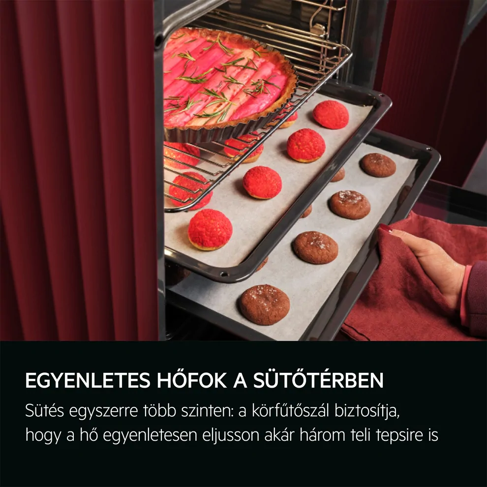Aeg TB8SB73ZAB MealAssist/SteamPro 8000 Gőzsütő, gőztisztítással kép 5