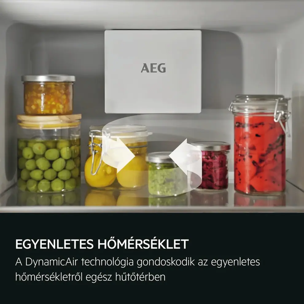 Aeg TK7DS181DS BI Hűtőszekrény Cab kép 2