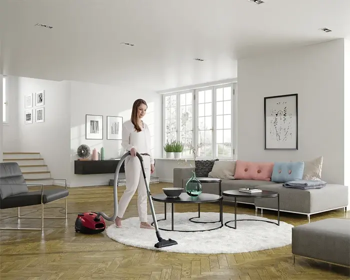 Electrolux EPF61RR porszívó porzsákos kép 2