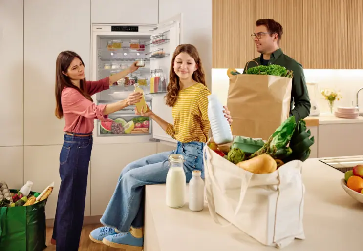 Gorenje NRKI619D61WFE beépíthető alulfagyasztós hűtőszekrény kép 12