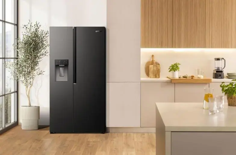 Gorenje NRS917E61BX side by side kép 11