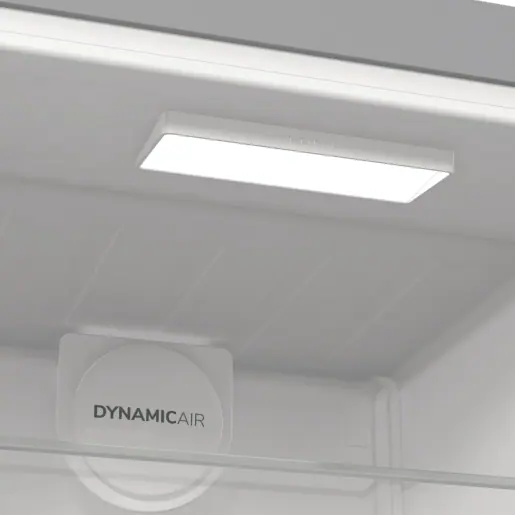 Gorenje R619DAXL6 hűtőszekrény kép 14