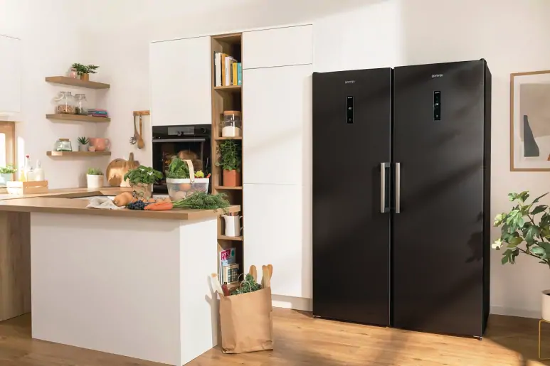 Gorenje R619EABK6 hűtőszekrény kép 21