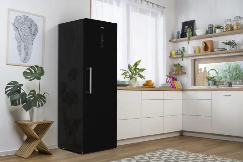 Gorenje R619EABK6 hűtőszekrény kép 22