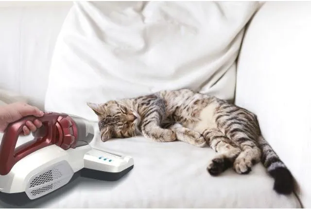 Hoover MBC500UV 011 takarítógép kép 20