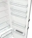 Gorenje R619DAXL6 hűtőszekrény kép 18