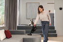Miele TRIFLEX HX3 CAT & DOG kéziporszívó kép 4