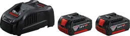 Bosch 1600A00B8J 2x GBA 18V 5.0Ah + GAL 1880 CV indulókészlet kép